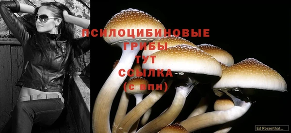 мескалин Тайга