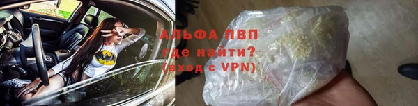 стафф Сясьстрой