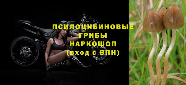 марки nbome Тавда