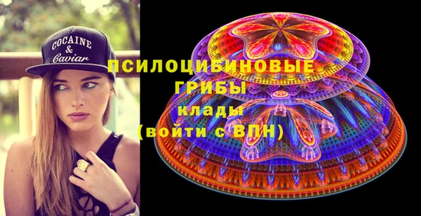 мескалин Тайга