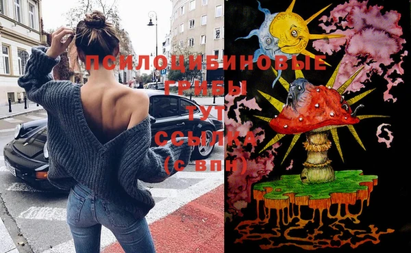 мескалин Тайга