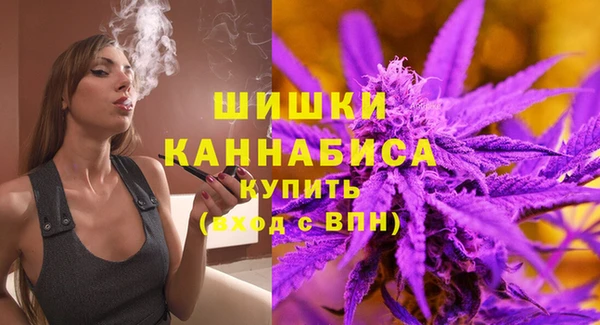 стафф Сясьстрой