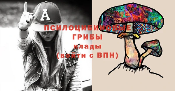 стафф Сясьстрой