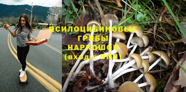 мескалин Тайга