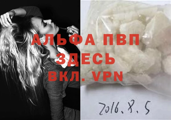 стафф Сясьстрой