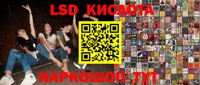 стафф Можга