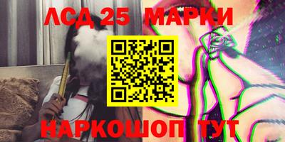 стафф Можга