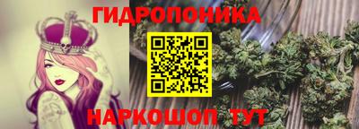 стафф Можга