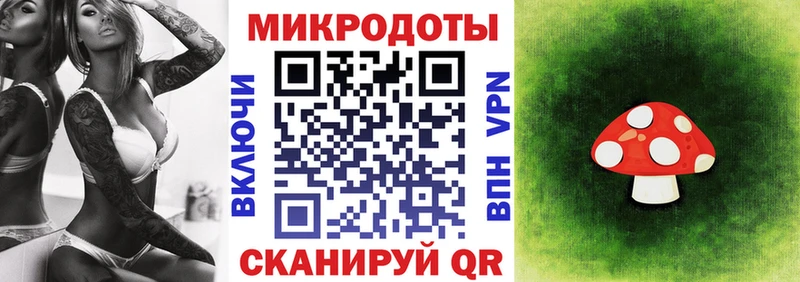 купить наркотик  Балтийск  Галлюциногенные грибы Psilocybine cubensis 