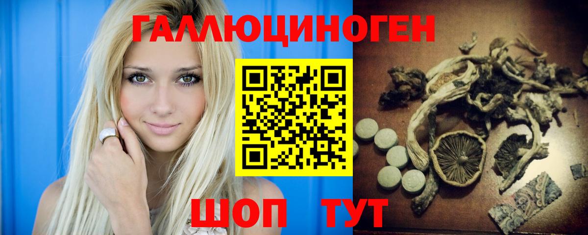 Балтийск  Псилоцибиновые грибы GOLDEN TEACHER  Вход с VPN 