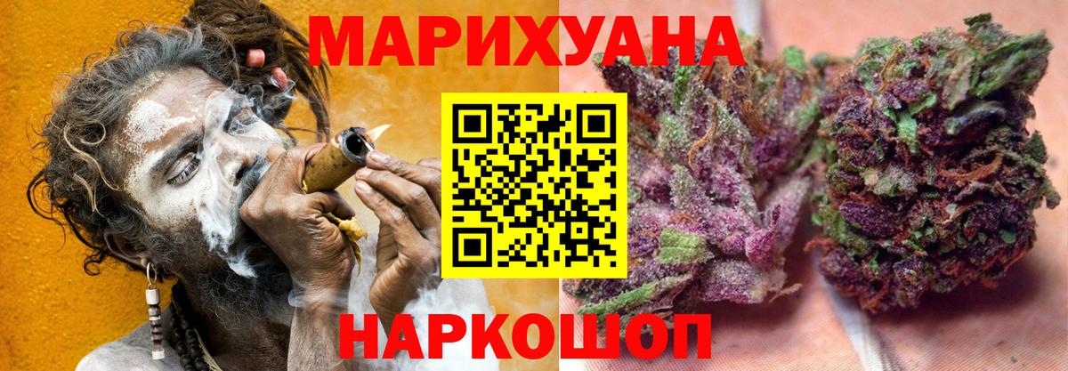 Бошки Шишки планчик Балтийск